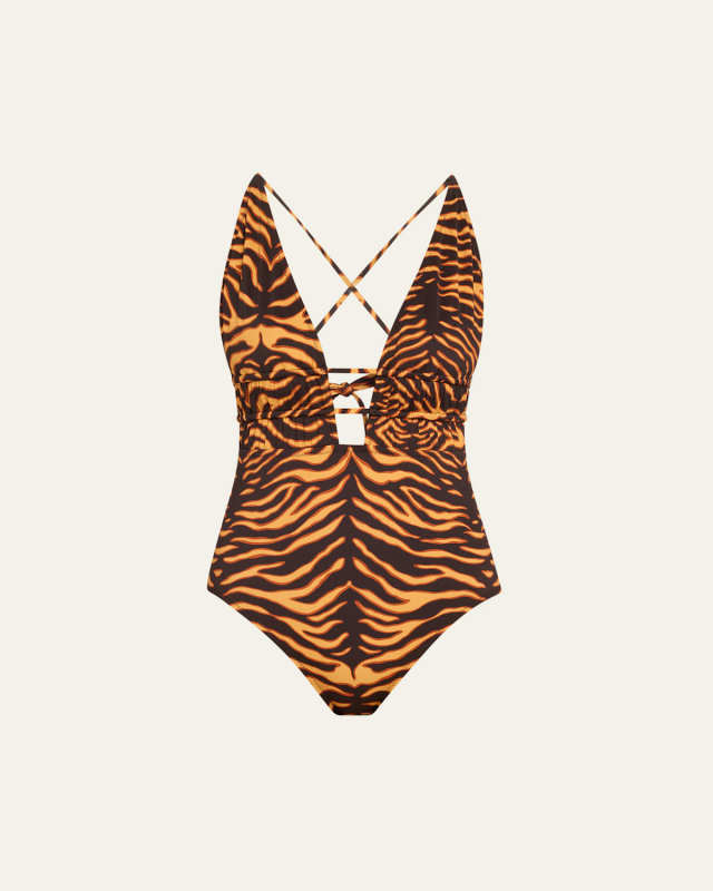 Dioni Plunge One-Piece Swimsuit